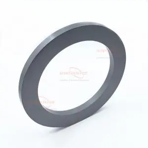 Boron Carbide Ceramic Ring